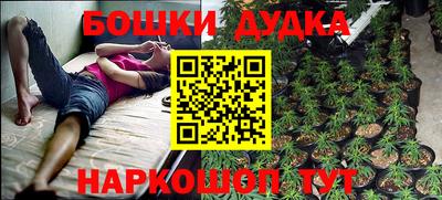 бошки Новозыбков